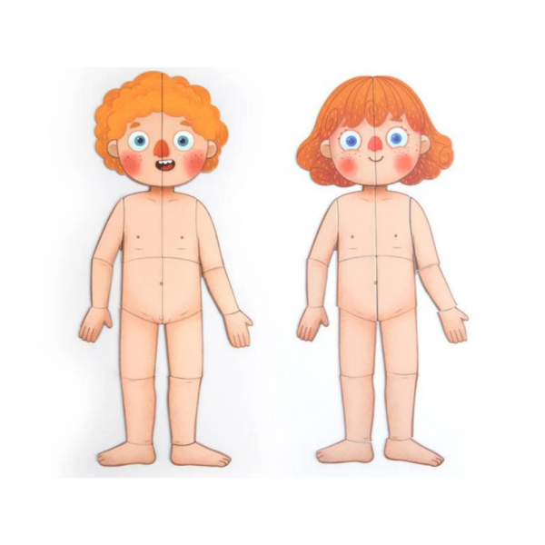 Mideer Body Magnet / Eğitici İnsan Vücudu Oyun Seti