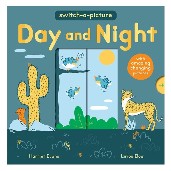 Day And Night - Switch A Picture