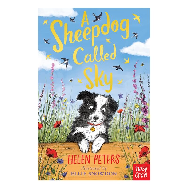 A Sheepdog Called Sky