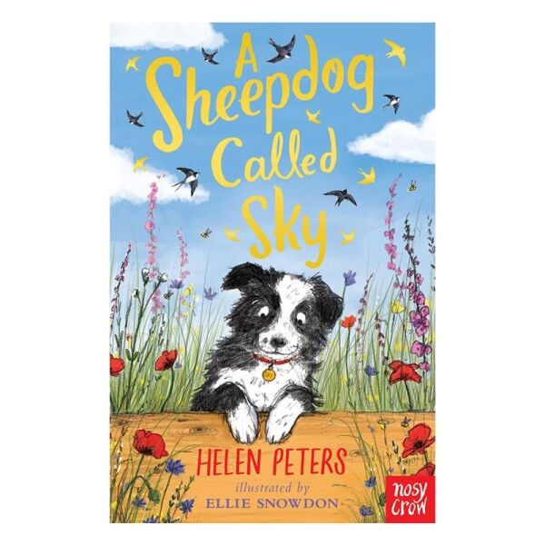 A Sheepdog Called Sky