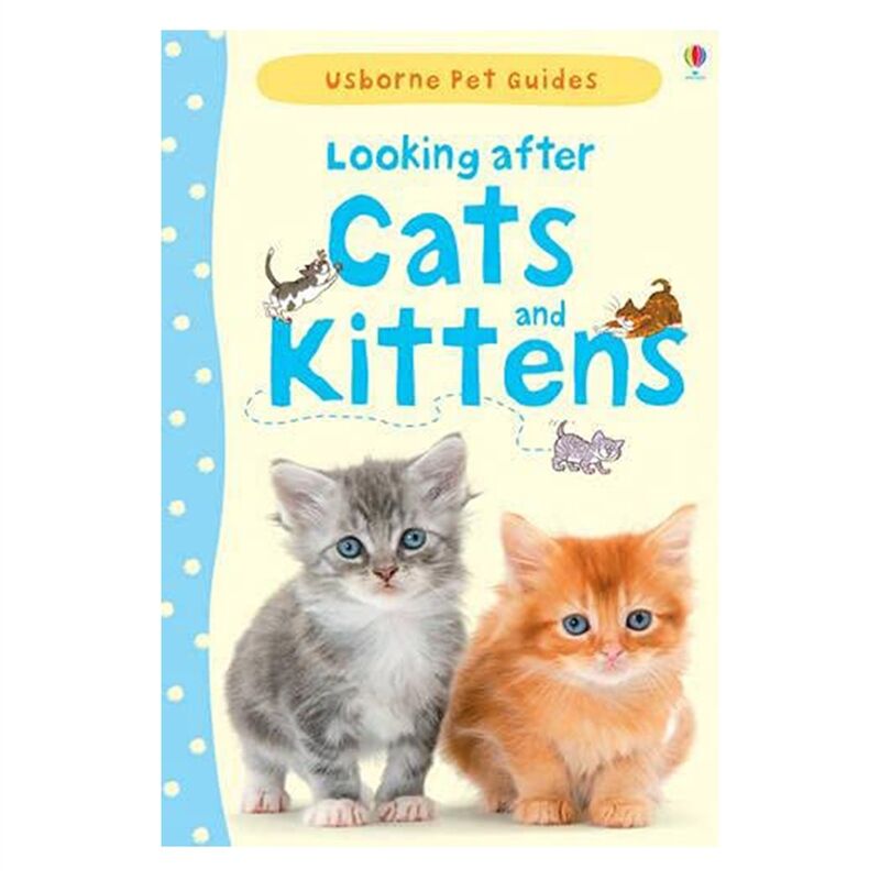 Looking After Cats And Kittens