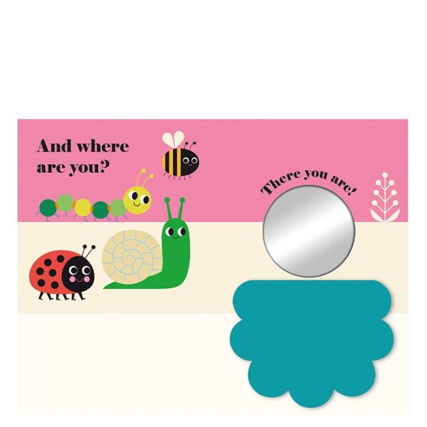 Where Is Mrs Ladybird Buggy Book