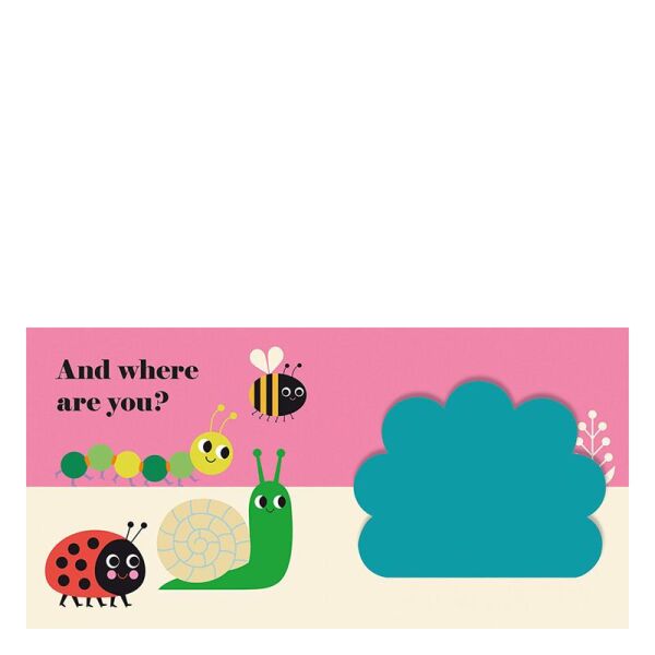 Where Is Mrs Ladybird Buggy Book