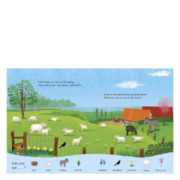 Look And Say What You See On The Farm