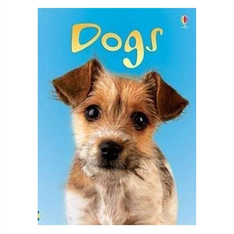 Dogs - Beginners