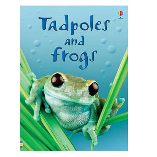 Tadpoles And Frogs - Beginners