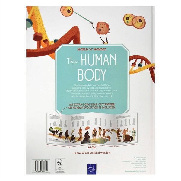 Human Body