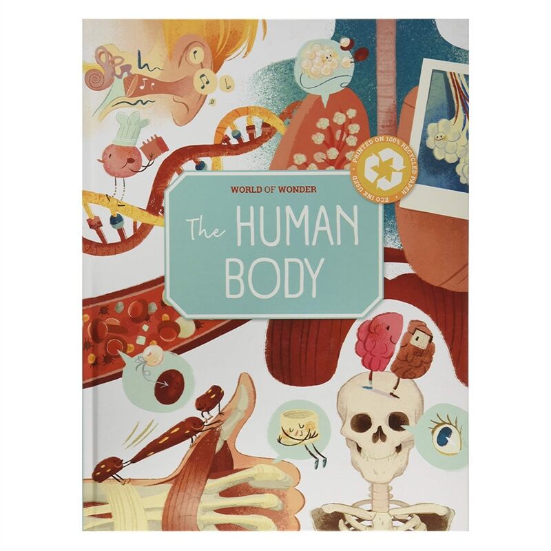 Human Body