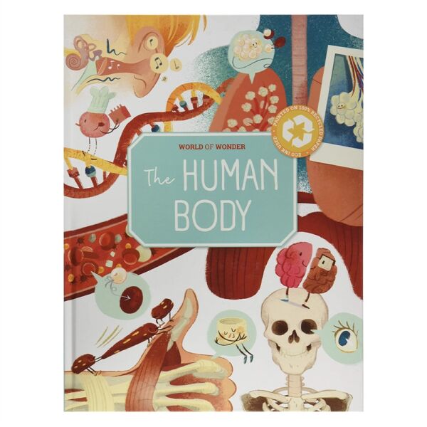 Human Body