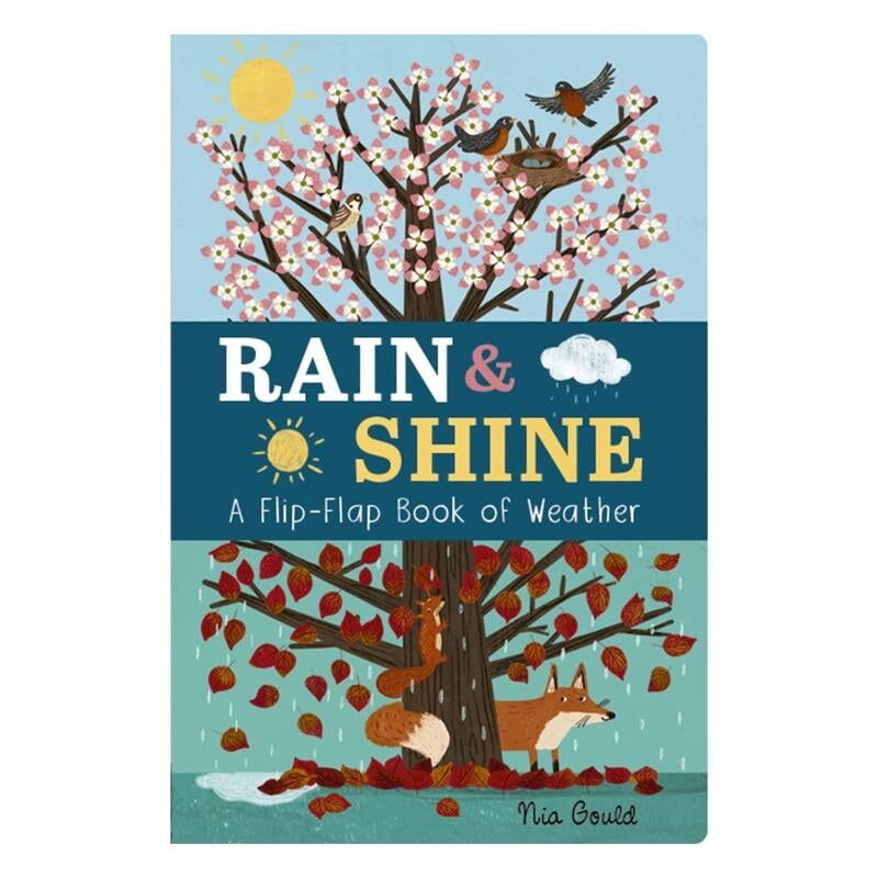Rain and Shine - A Flip-Flap Book of Weather