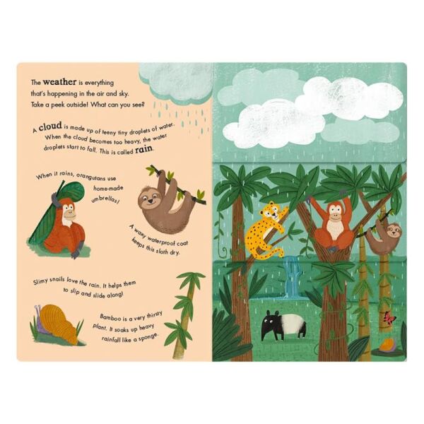 Rain and Shine - A Flip-Flap Book of Weather