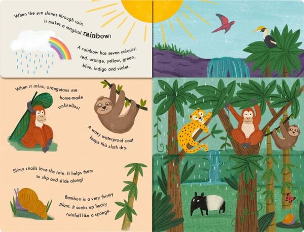 Rain and Shine - A Flip-Flap Book of Weather