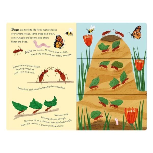 Bees and Beetles - A Flip-Flap Book of Bugs