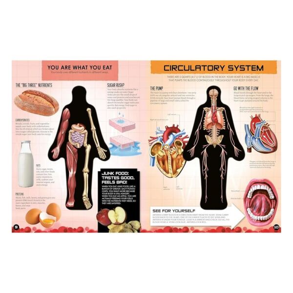 Inside Out Human Body
