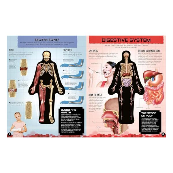 Inside Out Human Body