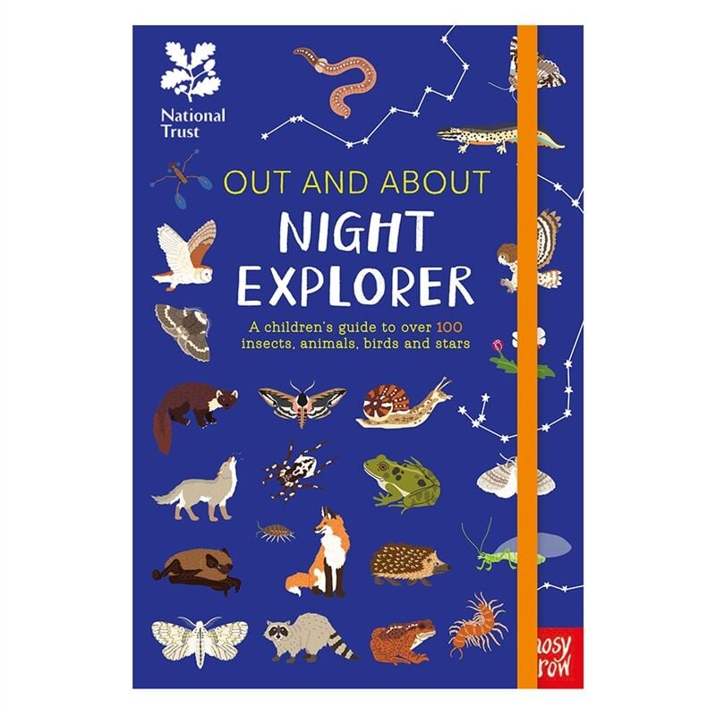Out And About Night Explorer