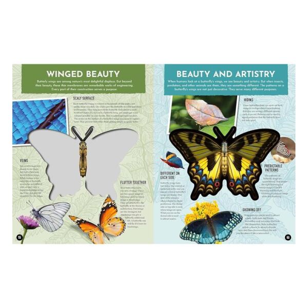 Inside Out Butterfly