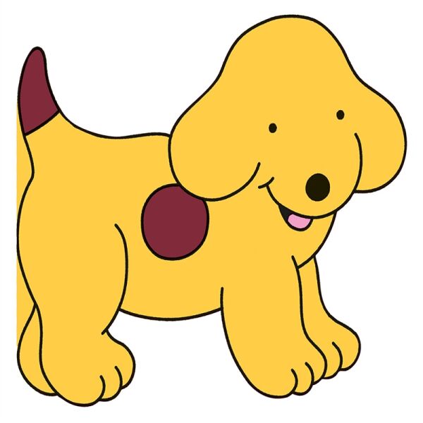 All About Spot