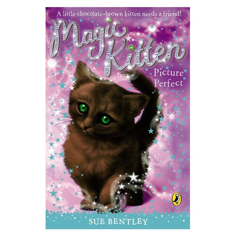 Magic Kitten: Picture Perfect