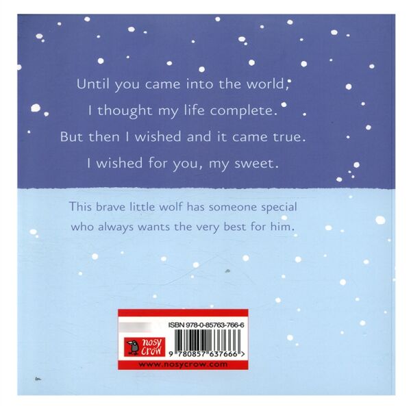 Wish (Paperback)