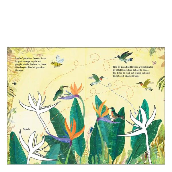 The Big Sticker Book Of Blooms