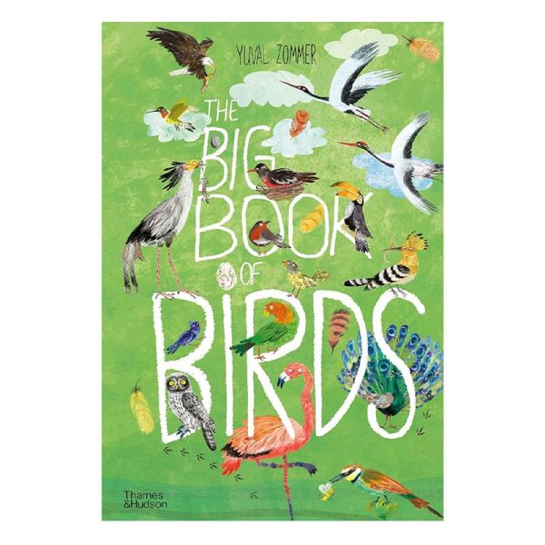 The Big Book Of Birds