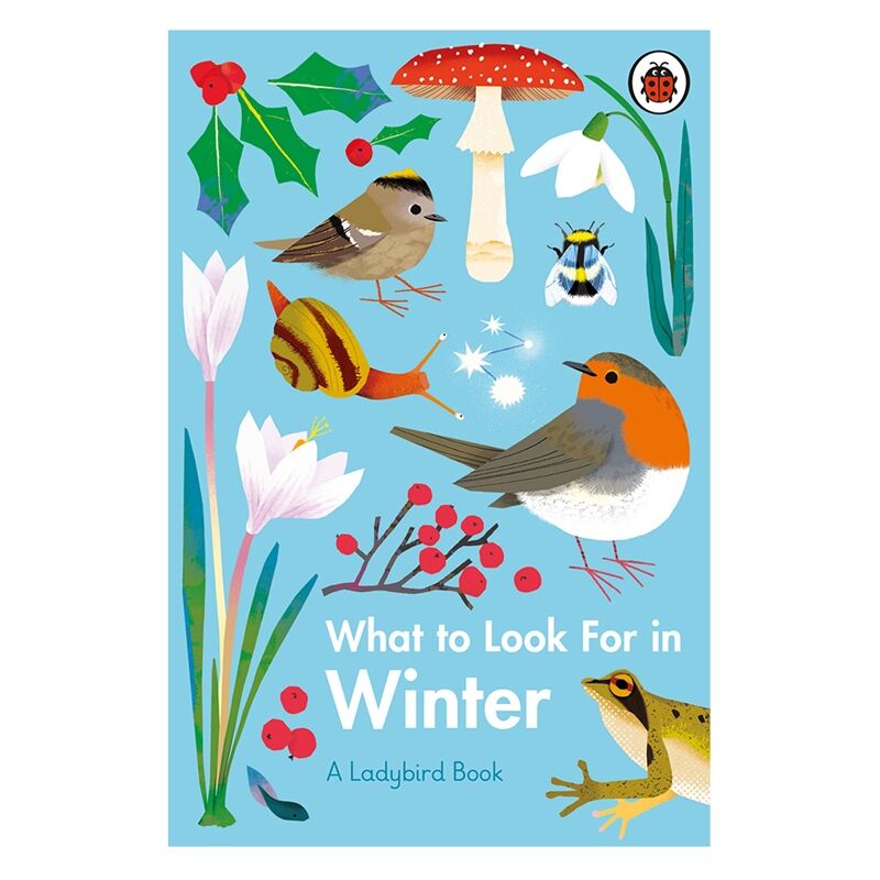 What To Look For In Winter