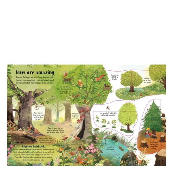 Lift The Flap Trees