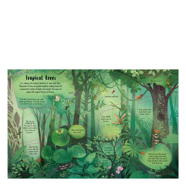 Lift The Flap Trees