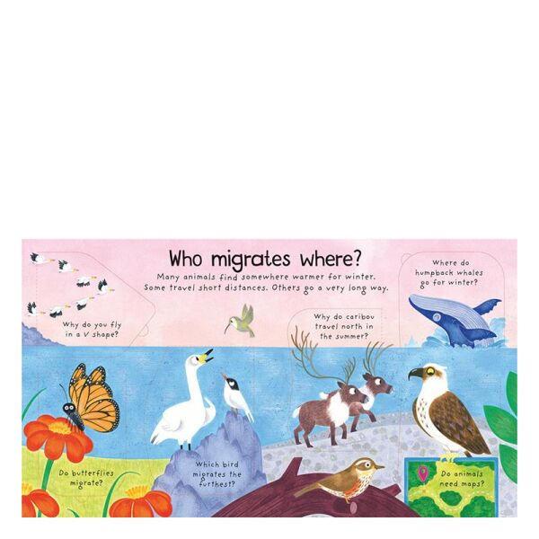 Where Do Animals Go İn Winter