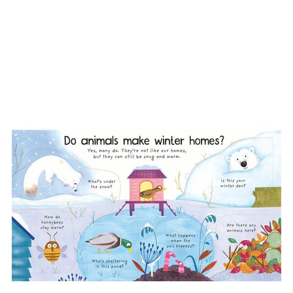 Where Do Animals Go İn Winter