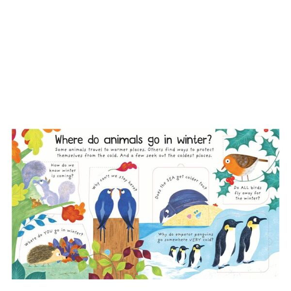 Where Do Animals Go İn Winter