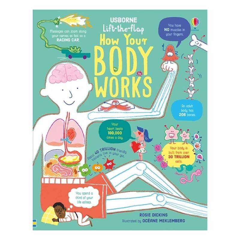Lift The Flap How Your Body Works