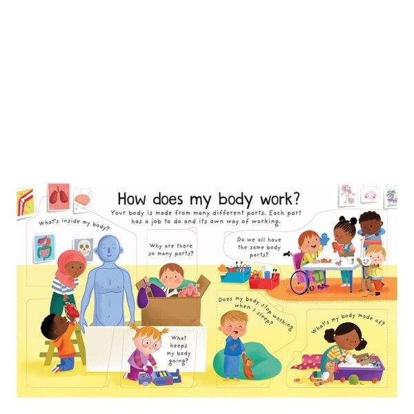First Questions And Answers How Does My Body Work