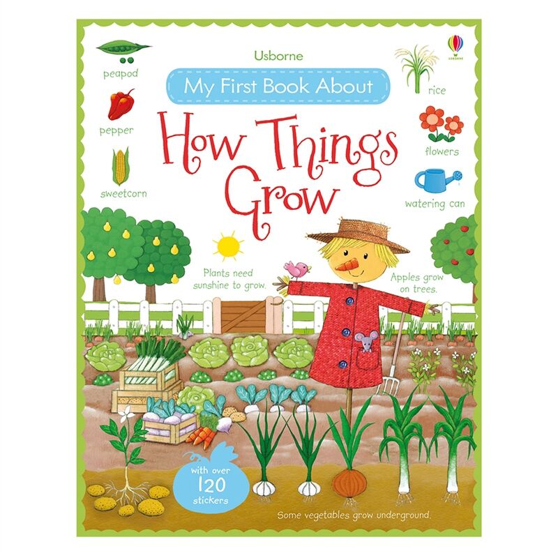 My First Book About How Things Grow