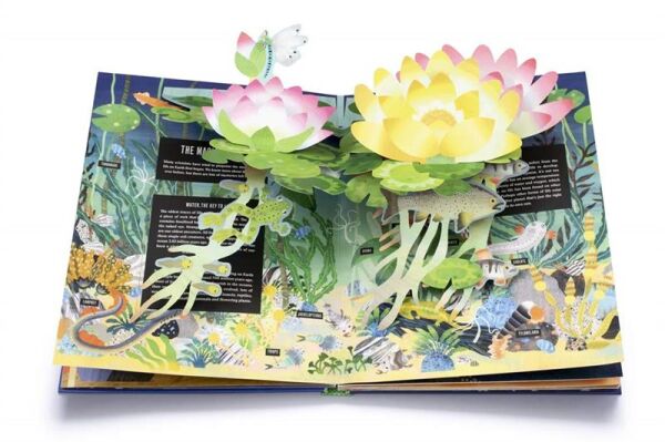 Pop-Up Earth - Hardback