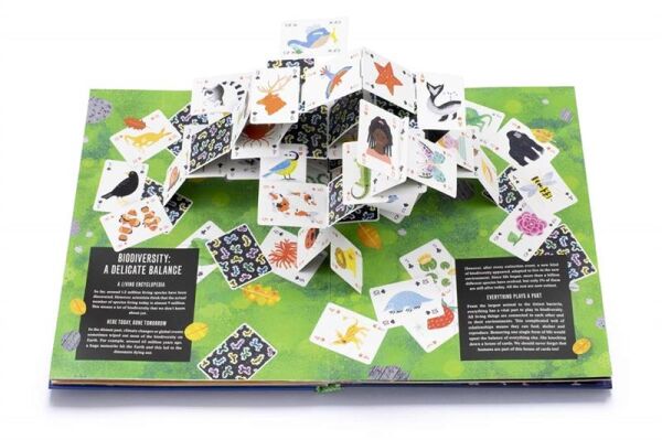 Pop-Up Earth - Hardback