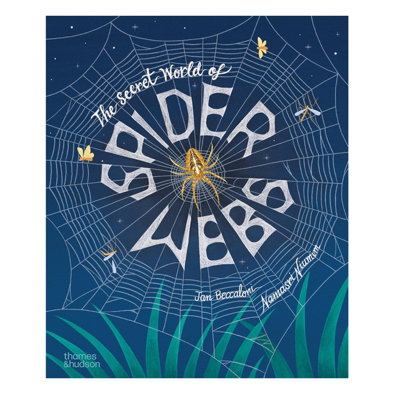 The Secret World of Spiderwebs