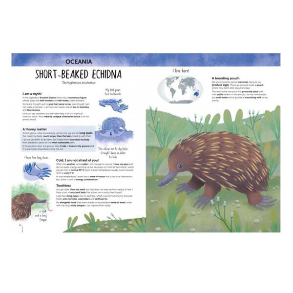 Atlas Of Biodiversity Curious And Unusual Animals