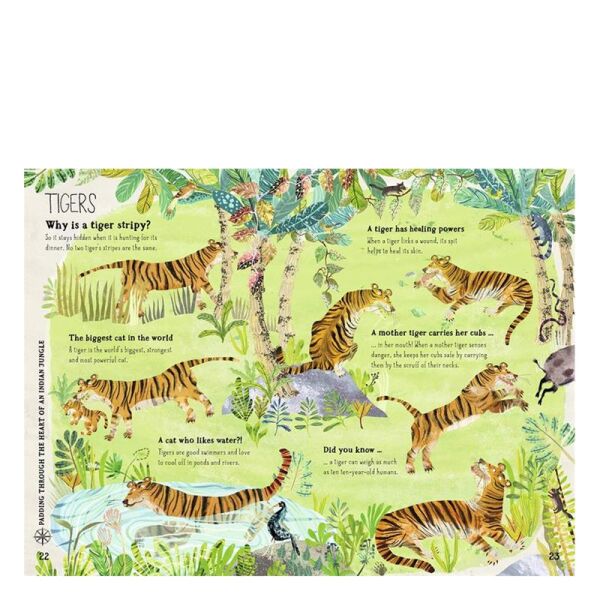 Big Book of Beasts