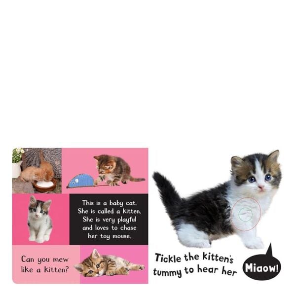 Noisy Baby Animals