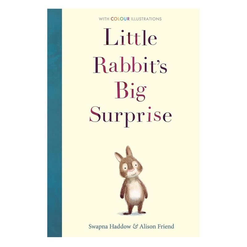 Little Rabbits Big Surprise