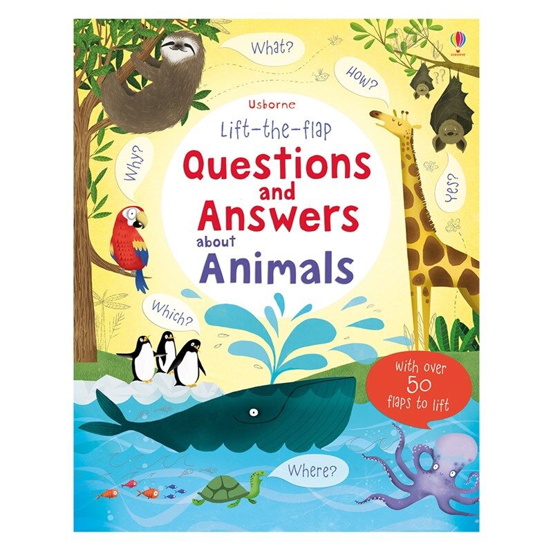 Lift The Flap Questions