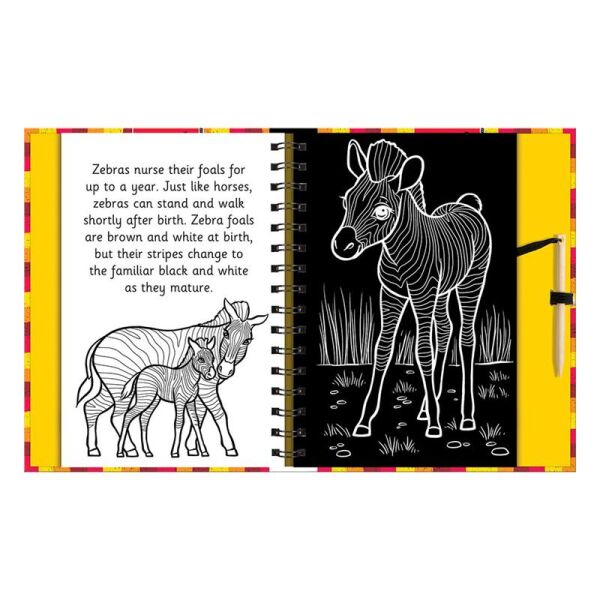 Scratch And Draw - Animals
