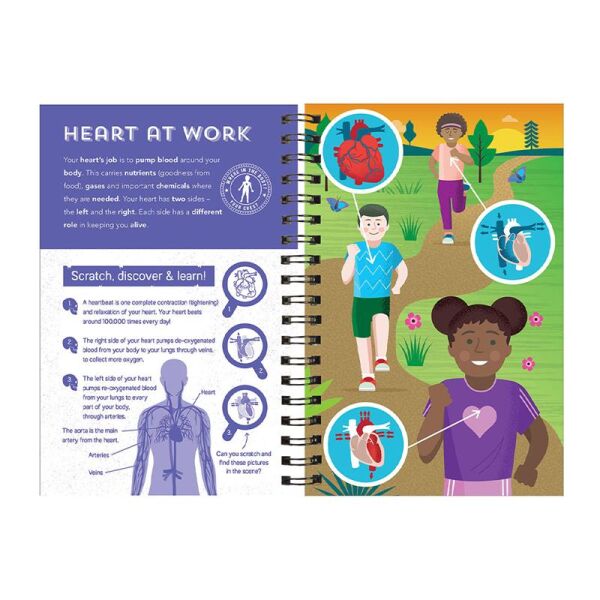 Human Body - Scratch, Discover And Learn