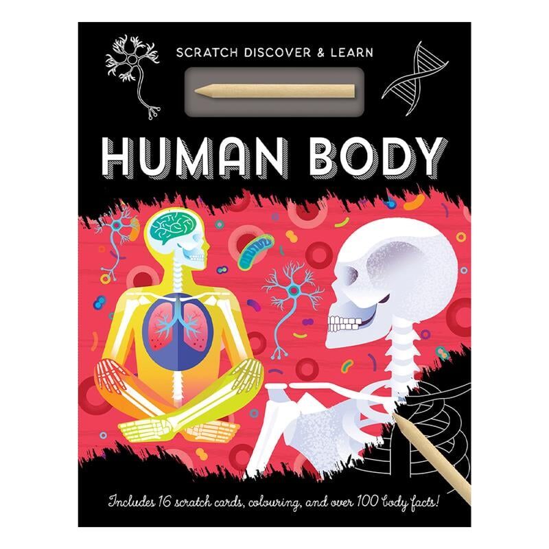 Human Body - Scratch, Discover And Learn