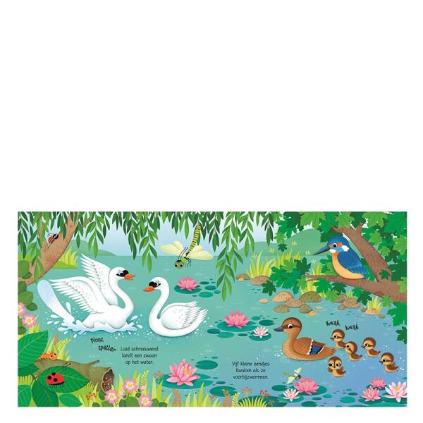 Bird Sounds
