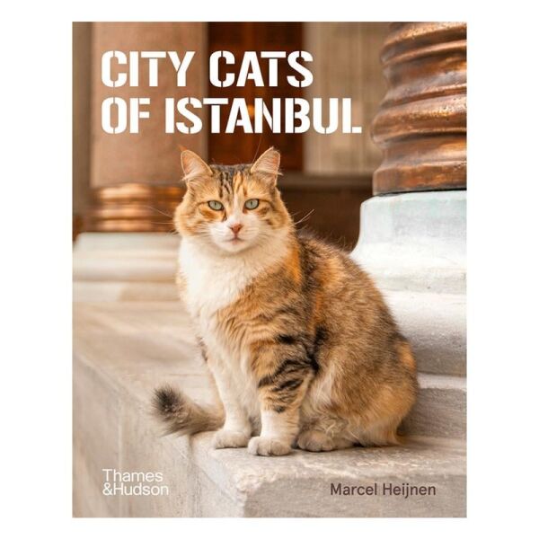City Cats of Istanbul