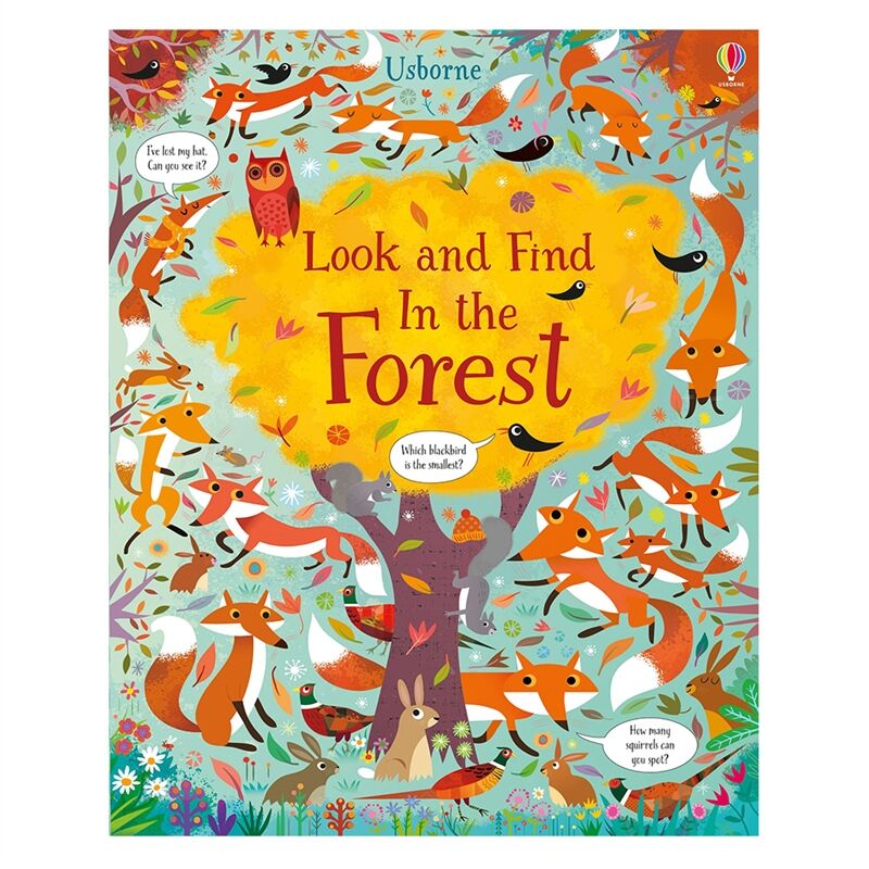 Look And Find In The Forest