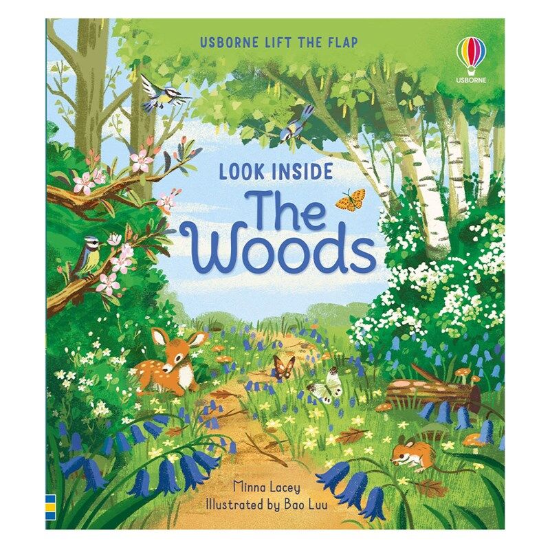 Look Inside The Woods